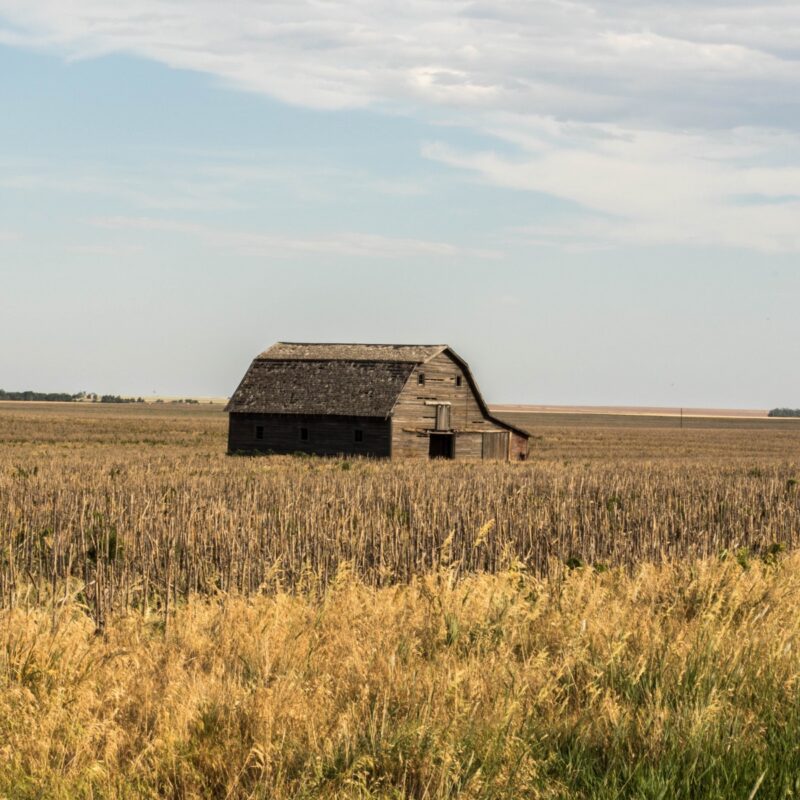 Barn