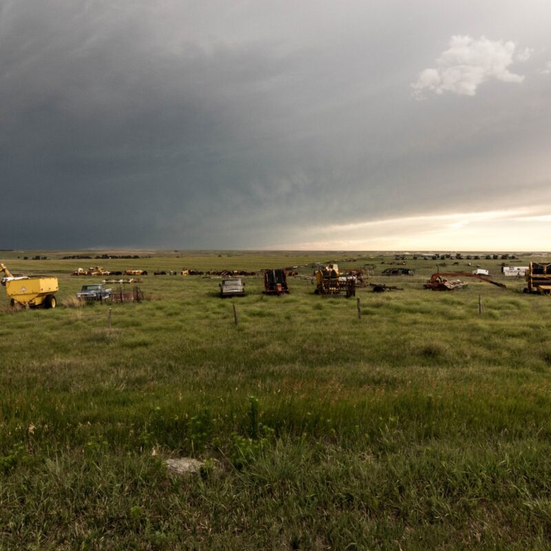 Vehicle Art or Graveyard