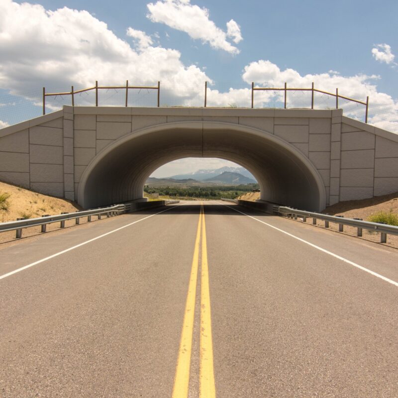 Wildlife Crossing Near Kremmling