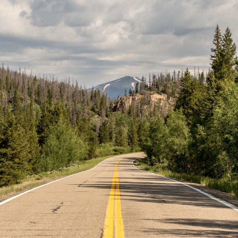 On the Road: North Park