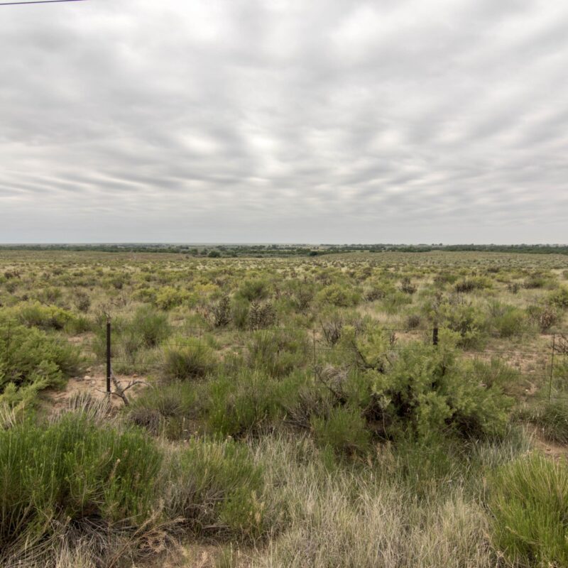 Arid Colorado