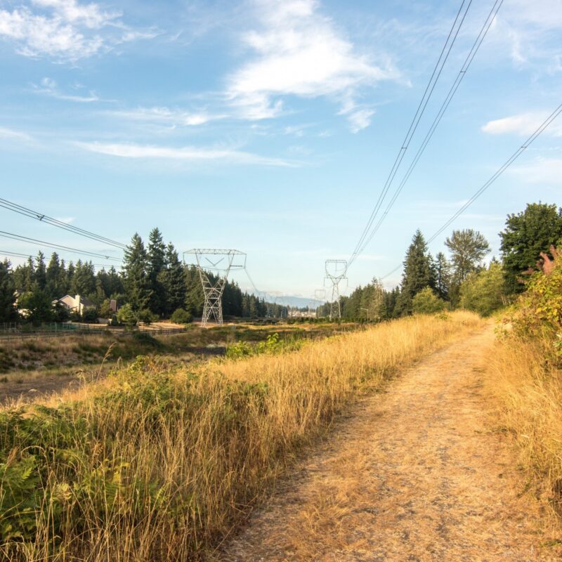 Wandering Under Power Lines