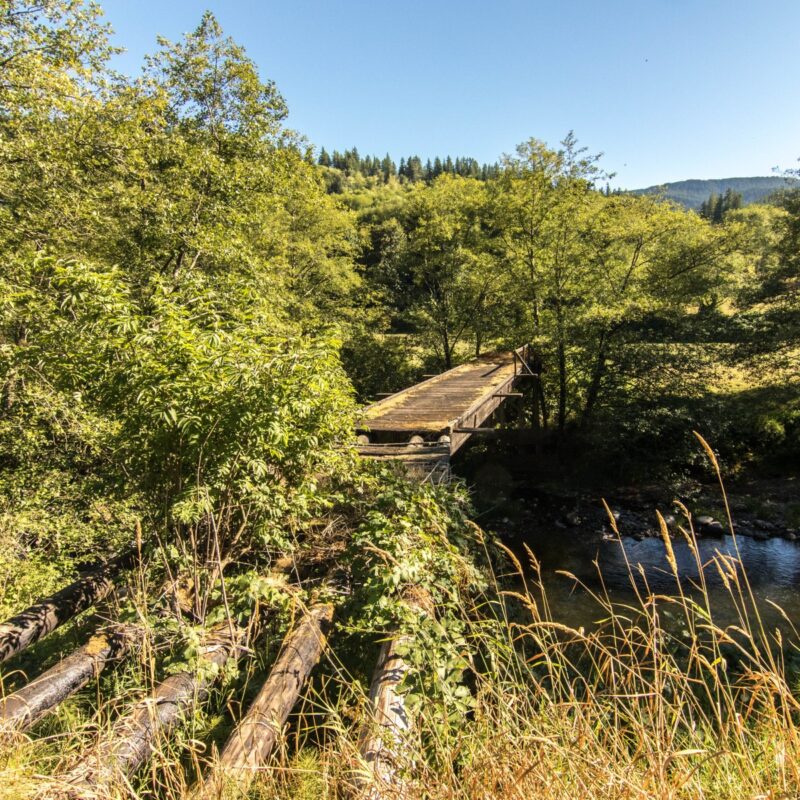 Rickety Bridge