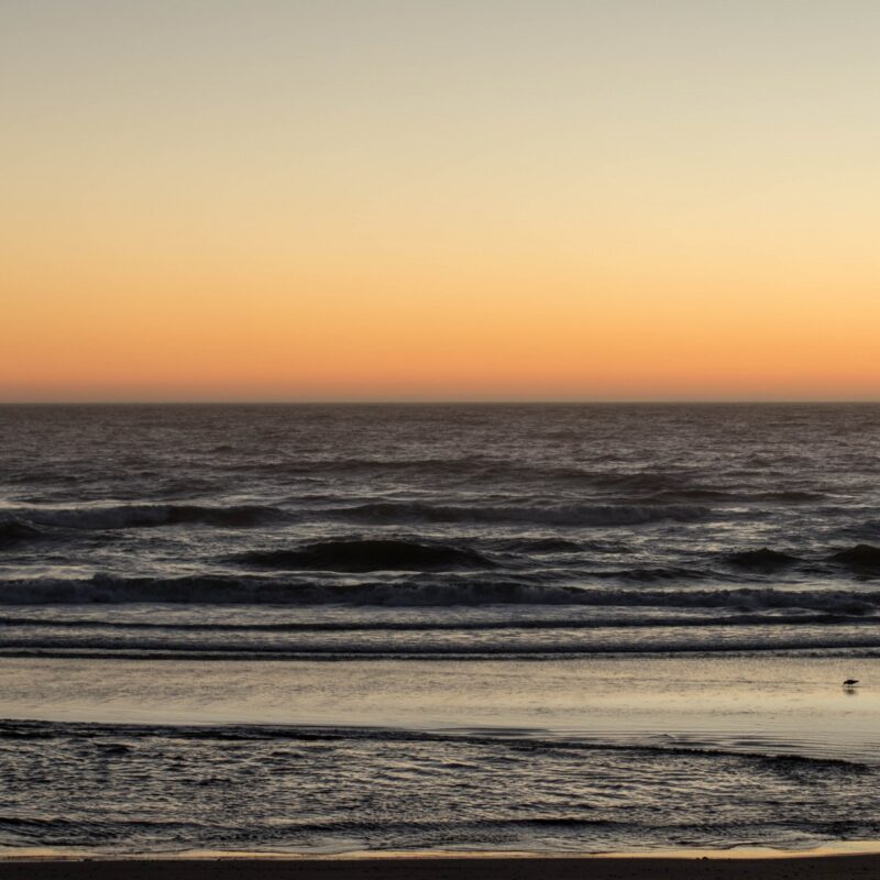 The Beach at Cape Lookout