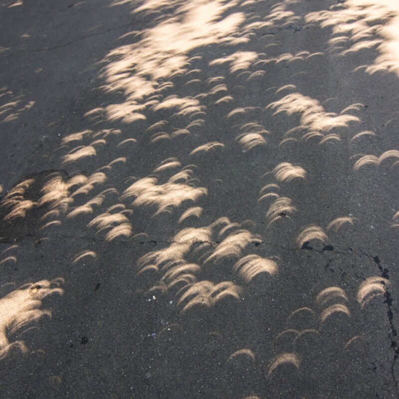 Strange Shadows