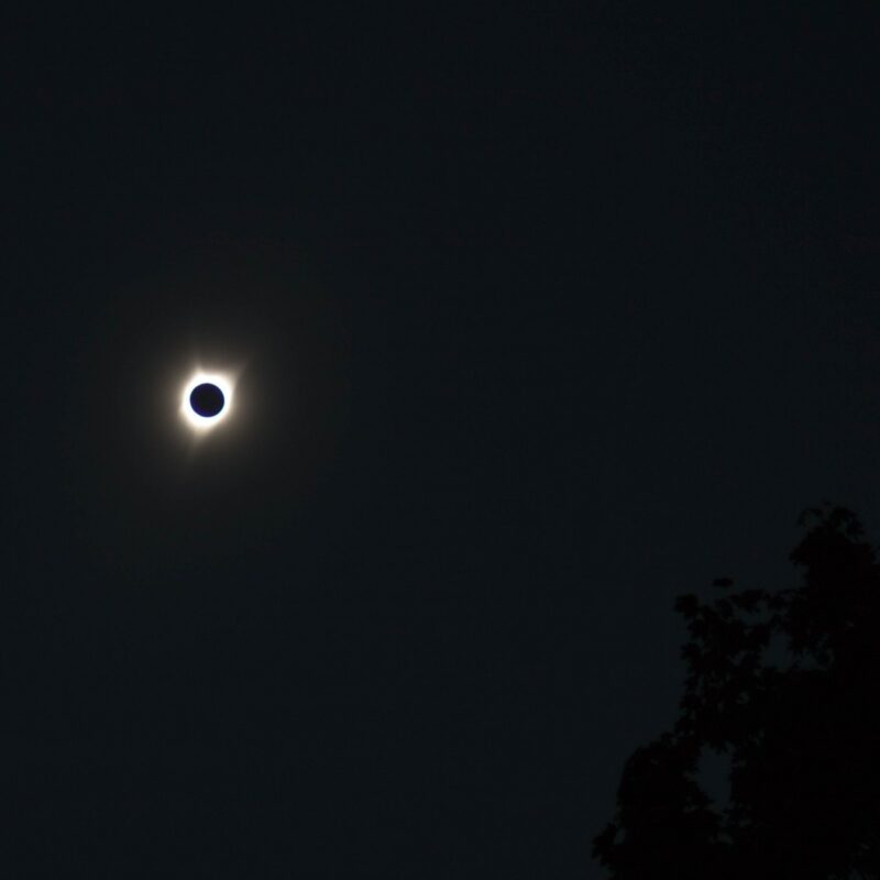 Total Eclipse - Profile