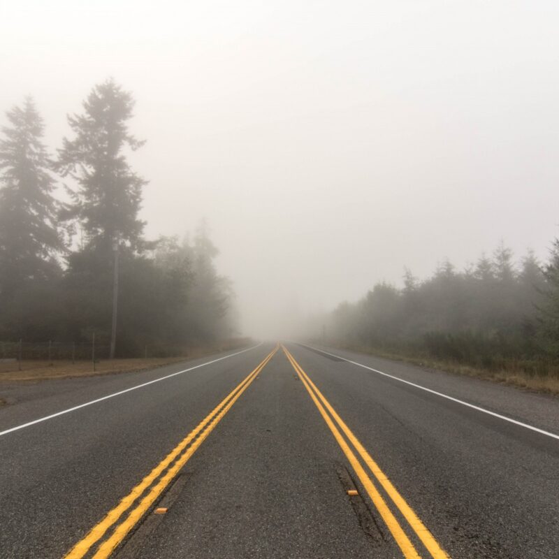 Morning Mists