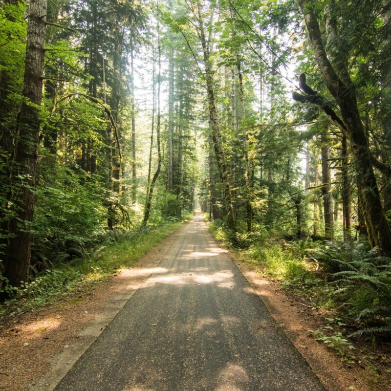 Olympic Discovery Trail
