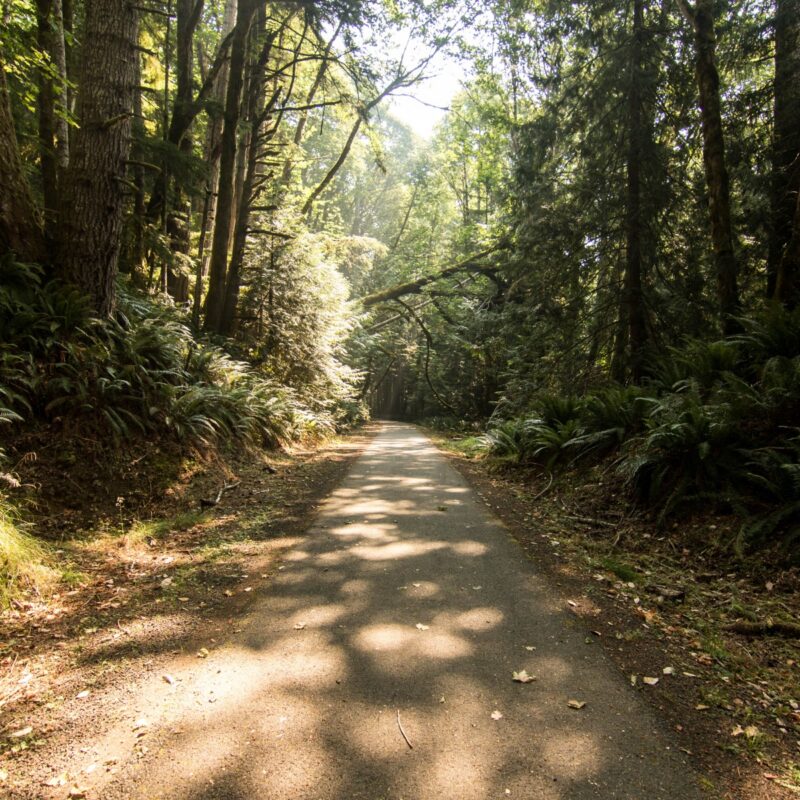 Olympic Discovery Trail
