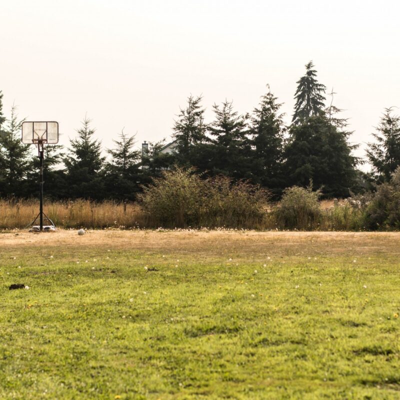 Field Hoops
