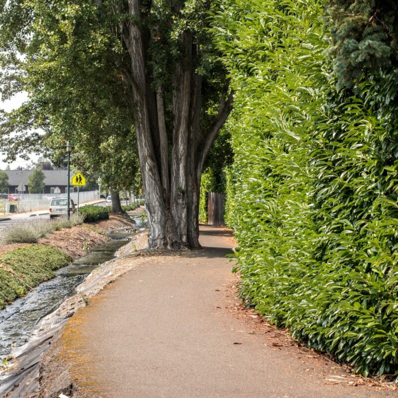 Olympic Discovery Trail