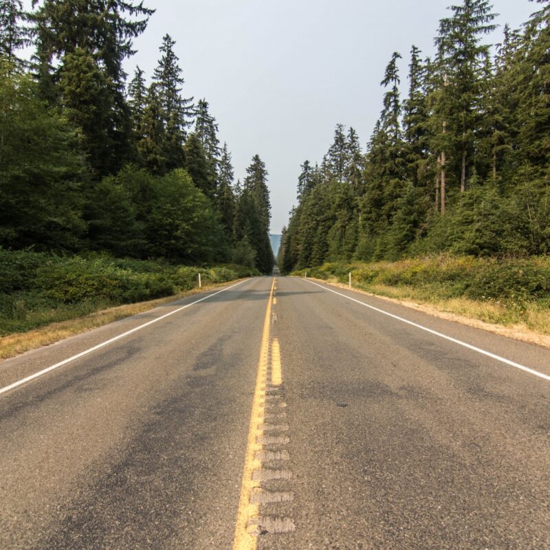 Olympic National Forest