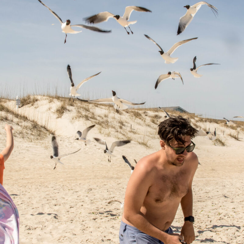 Seagull Beach