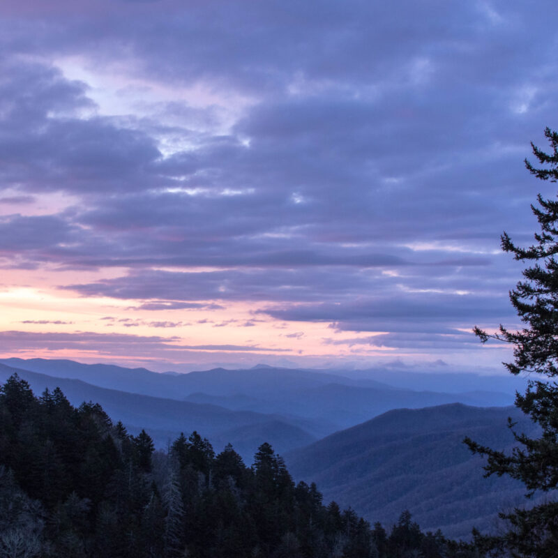 Dawn in the Smokies