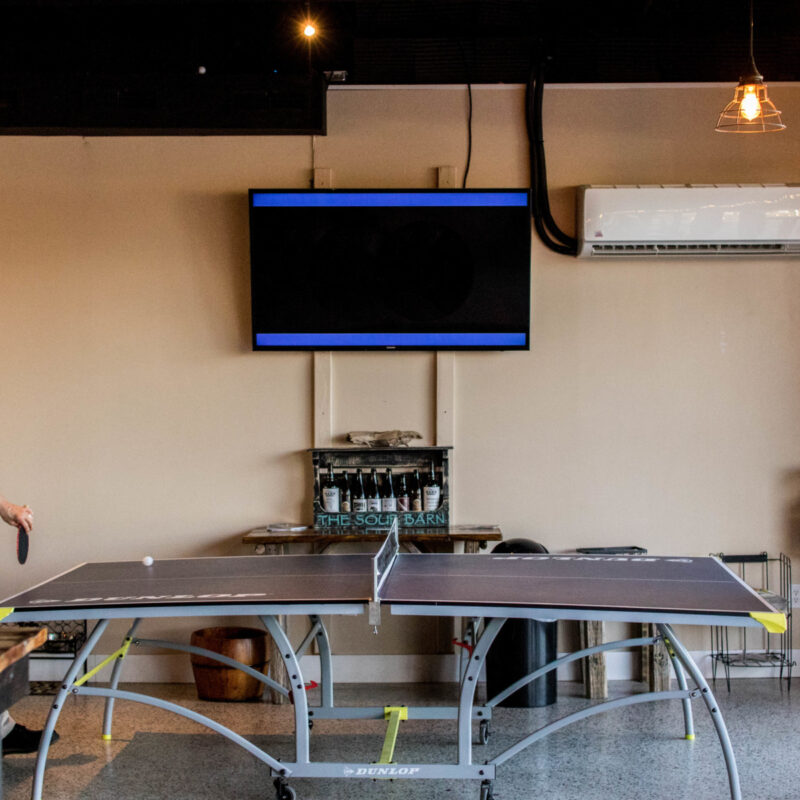 Fierce Ping Pong