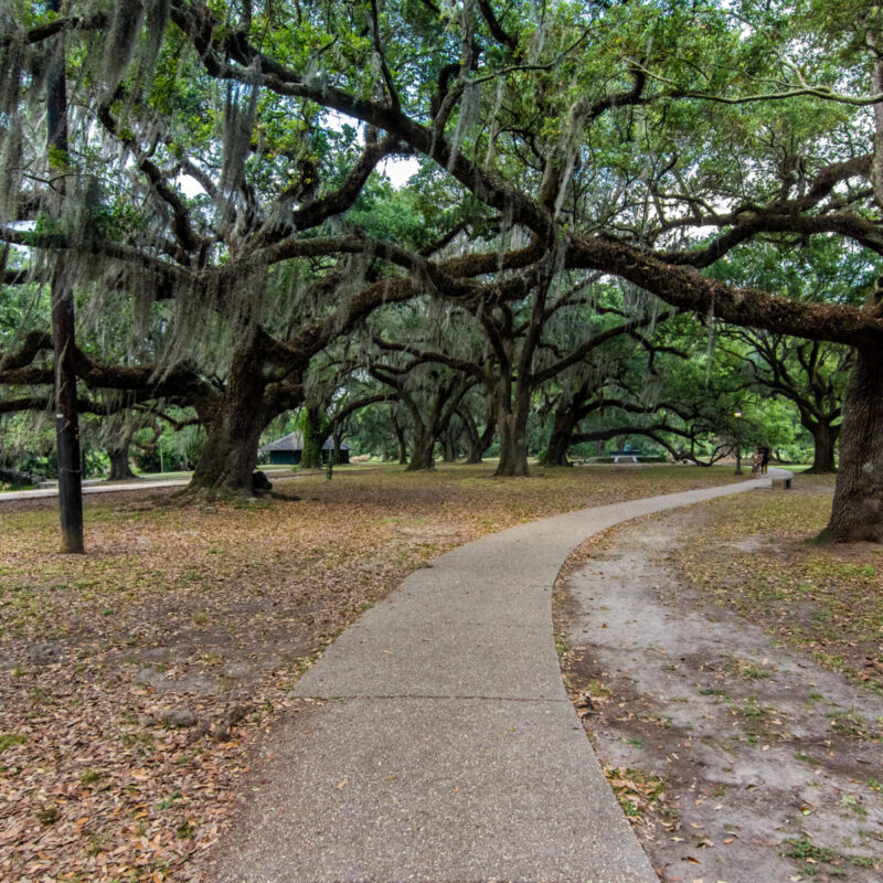 Moss and Oak