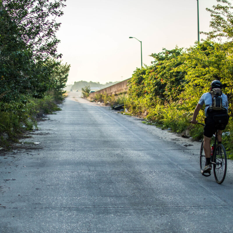 Approaching Almonaster Avenue