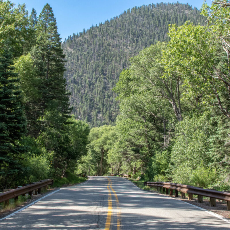 Cimarron Canyon