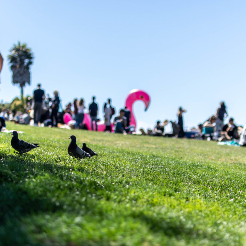 Dolores Park