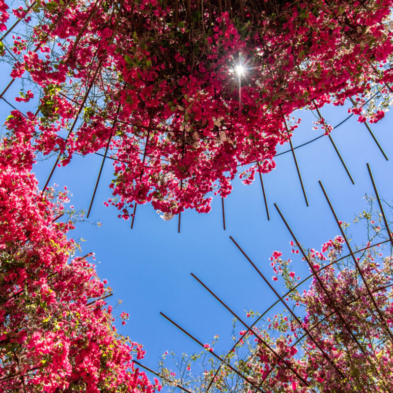 Getty Center