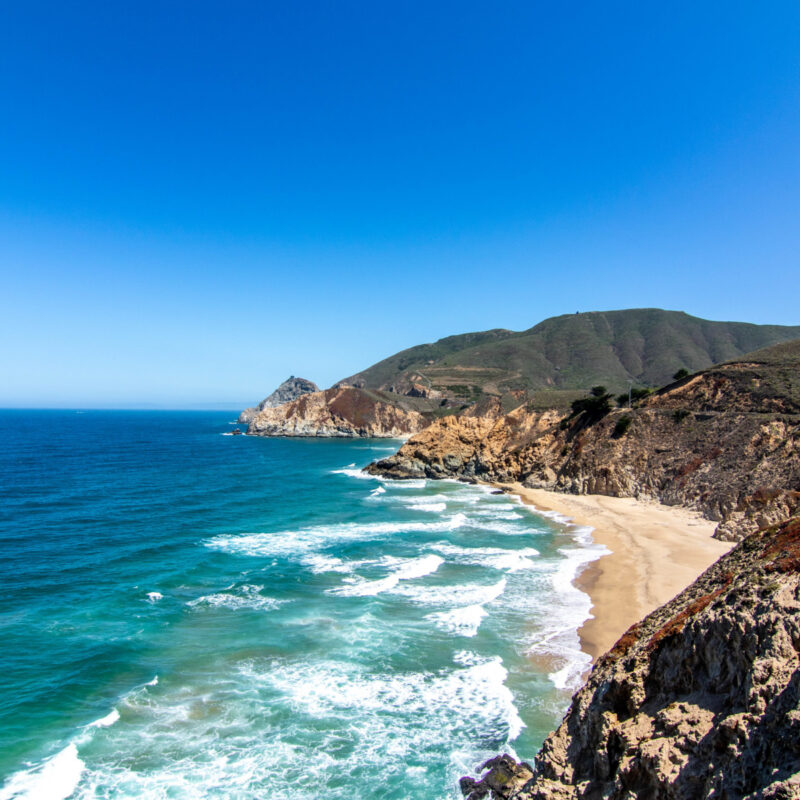 Pacific Vibes from the 1