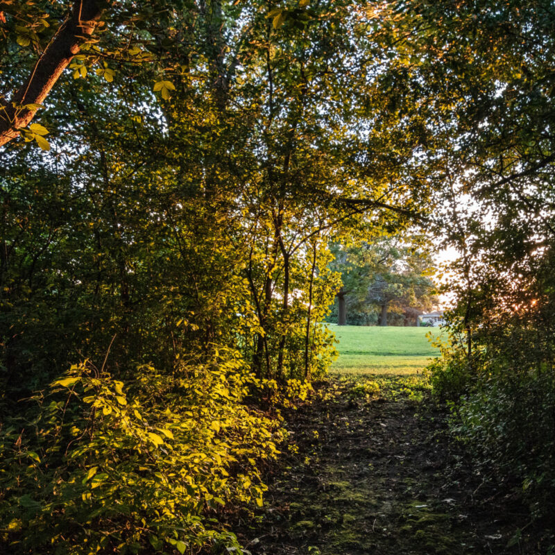 Biking South to Chicago