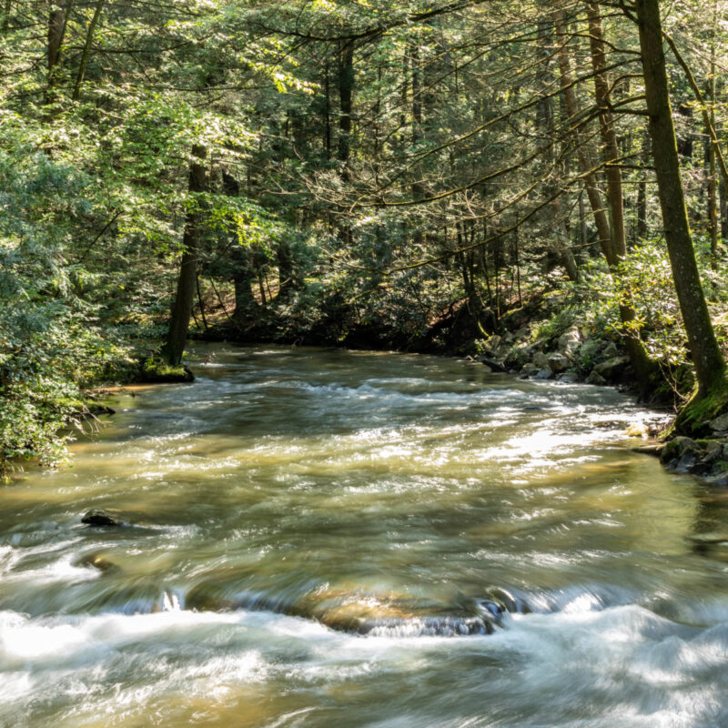 Reeds Gap State Park