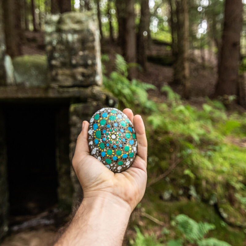 Finds in the Forest