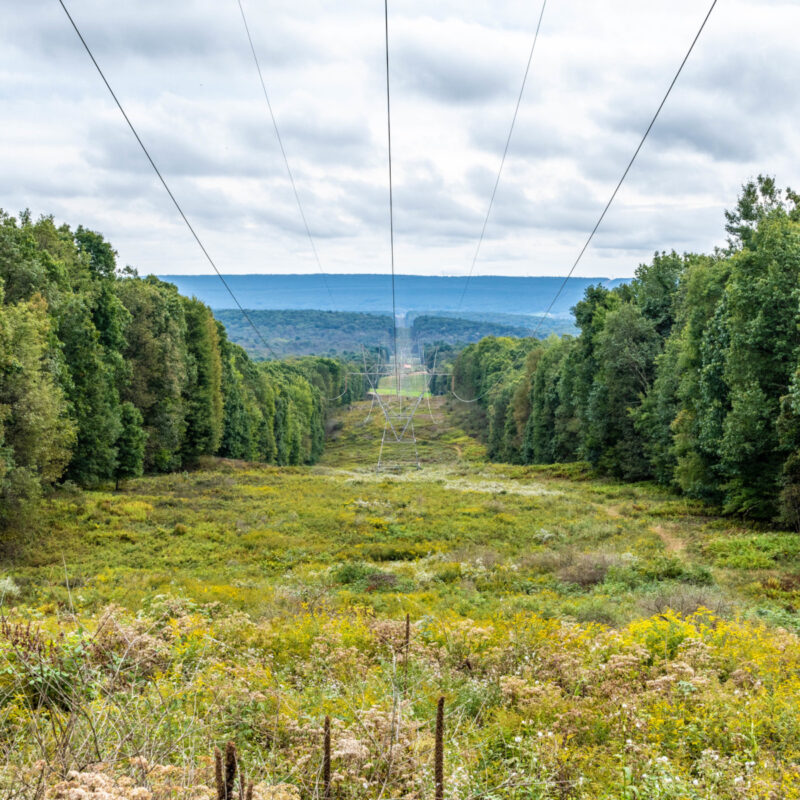 Power Lines Near State College