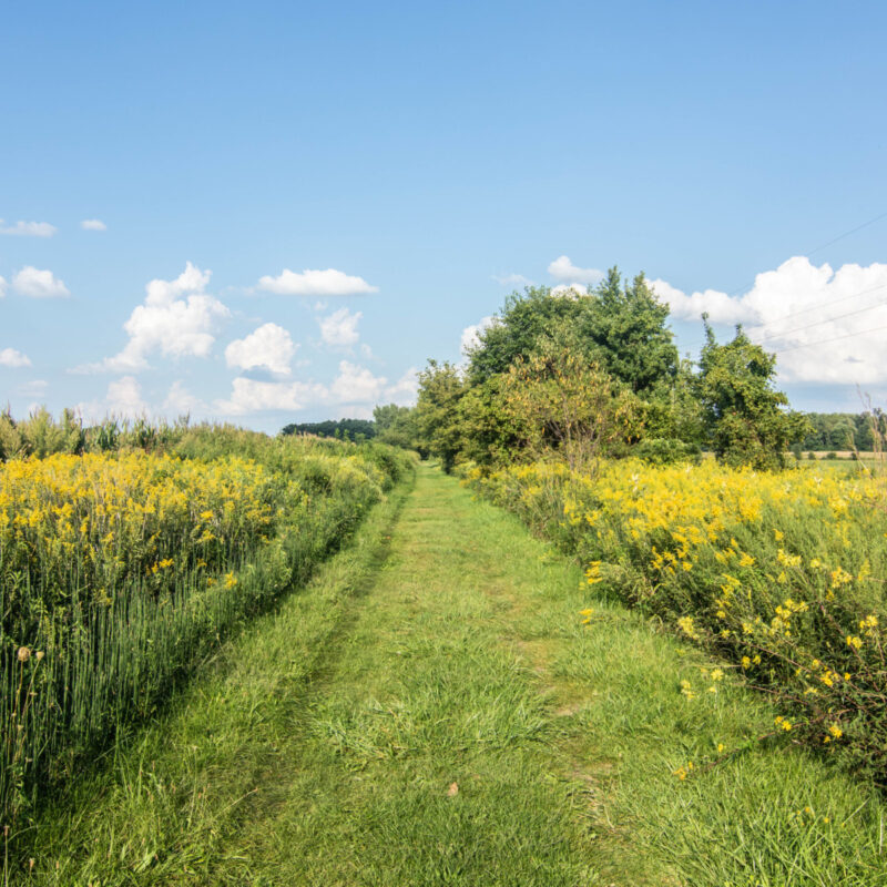 Wabash Cannonball Trail