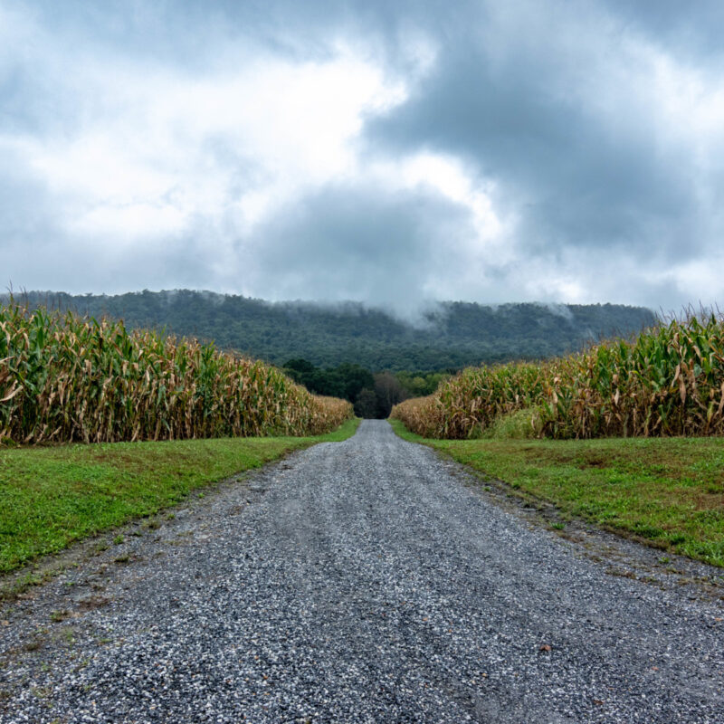 Biking to Maryland