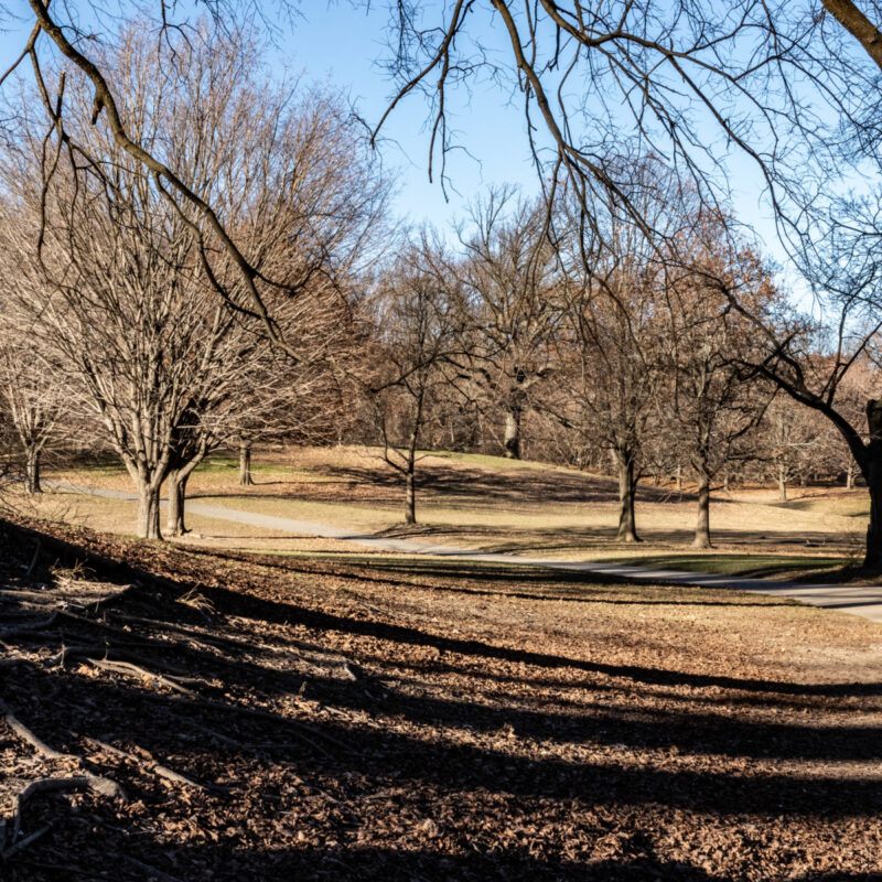Empty Prospect Park