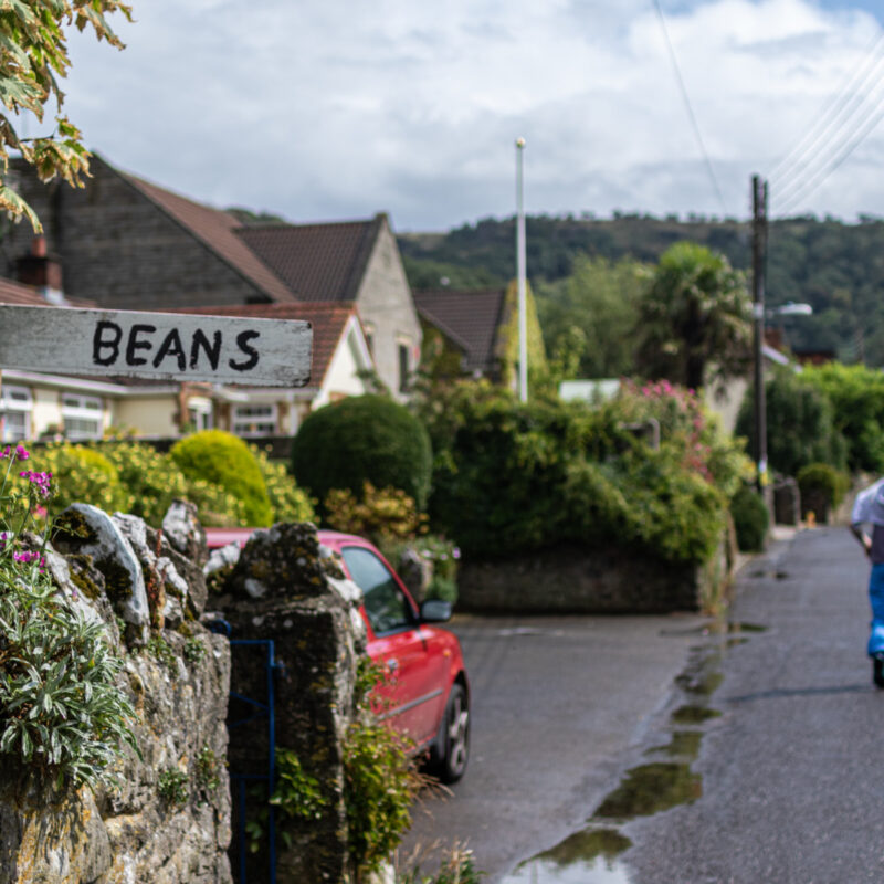 Cheddar, England