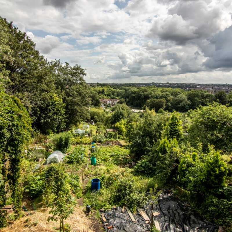 City of Bristol