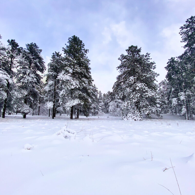Flagstaff-11