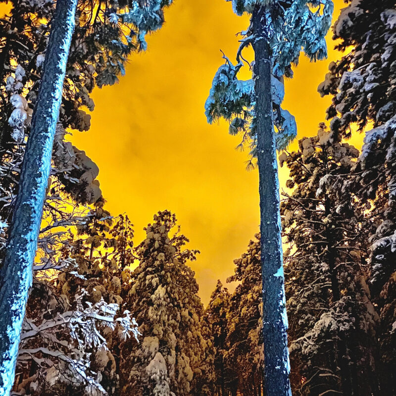 Flagstaff