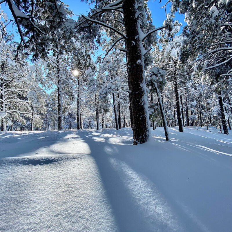 Flagstaff