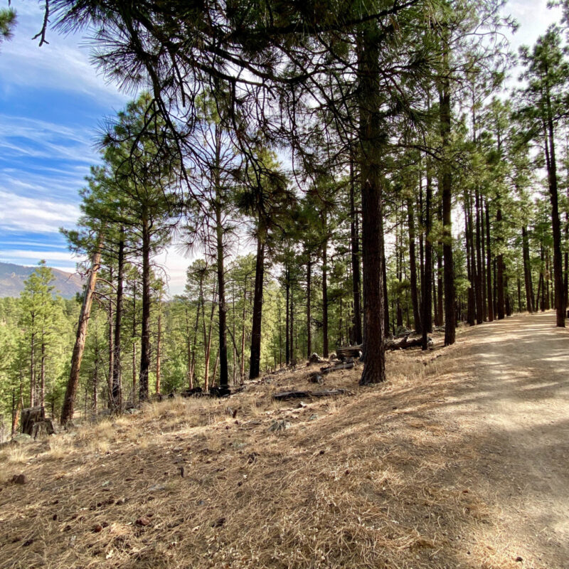 Flagstaff