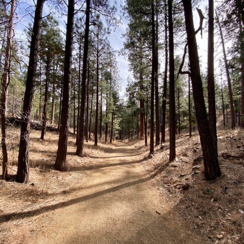 Flagstaff