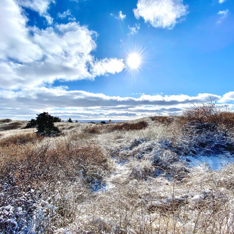 South Dakota
