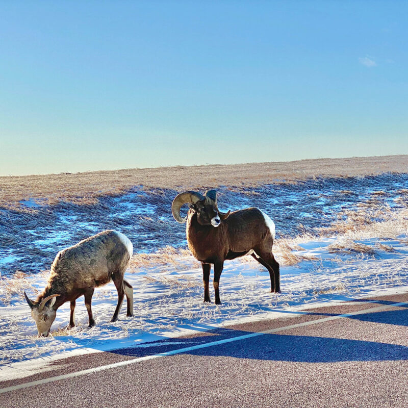 South Dakota