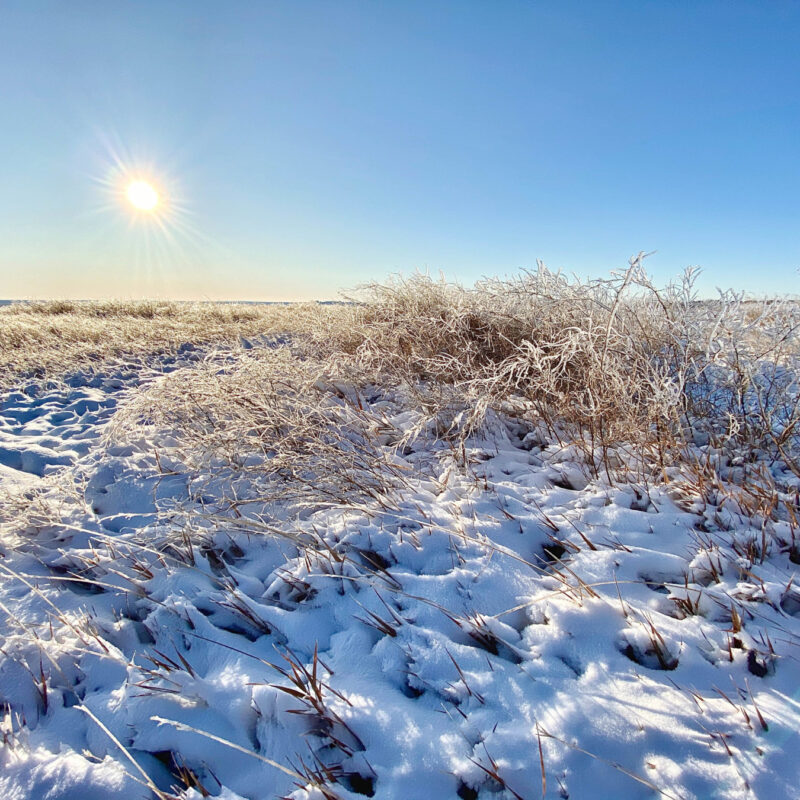 South Dakota
