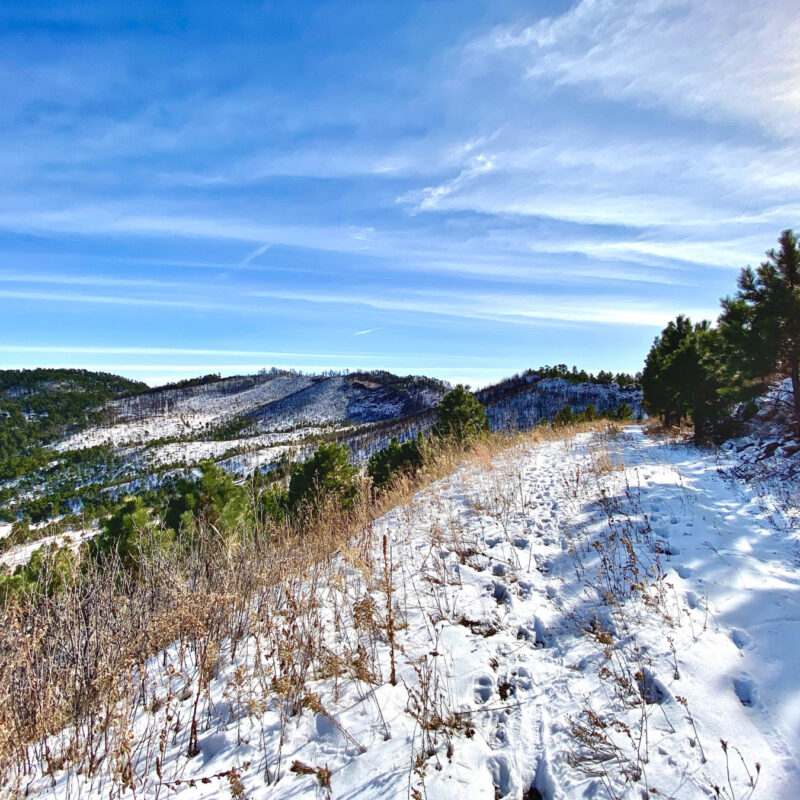 South Dakota