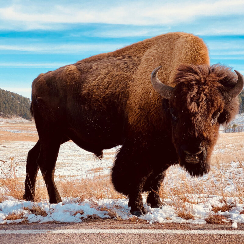 South Dakota