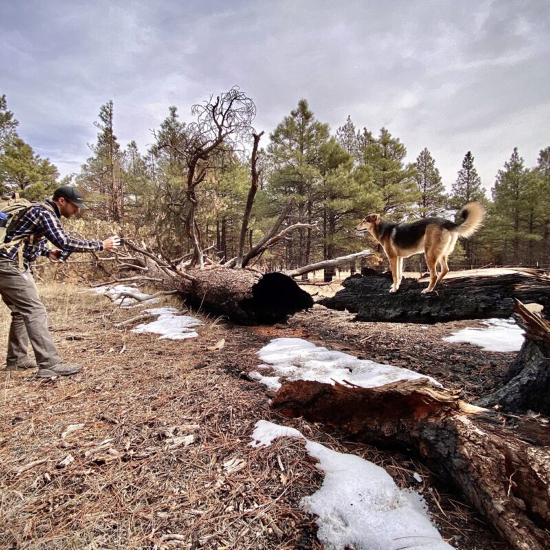 Hiking w/ Spense and Indy