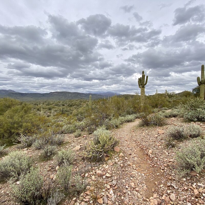 New River, AZ
