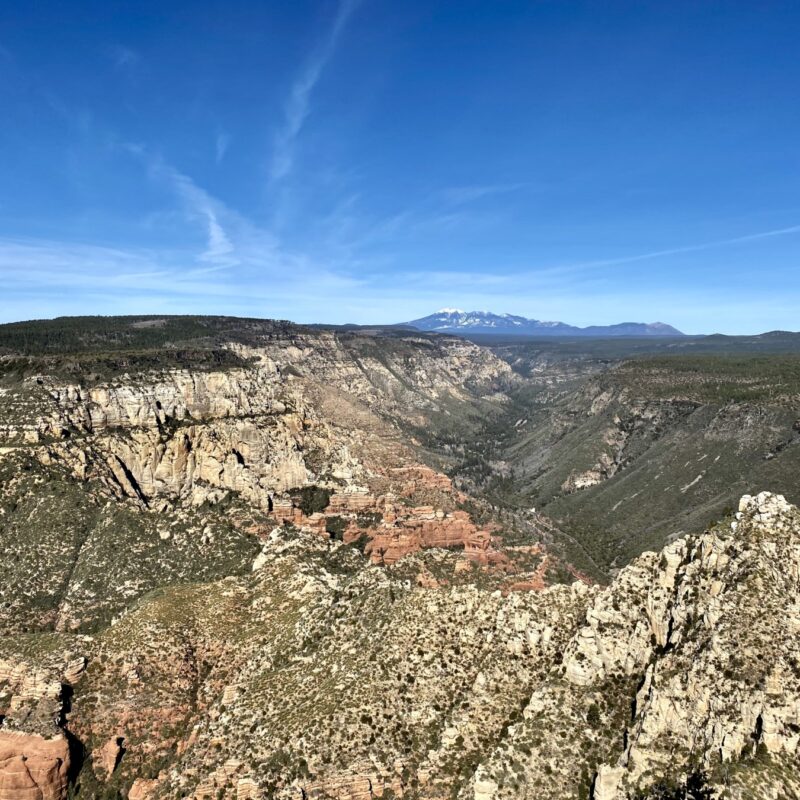 Sedona Hiking (North Wilson Mt.)