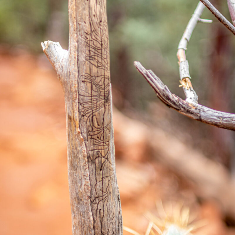 Sedona Hiking