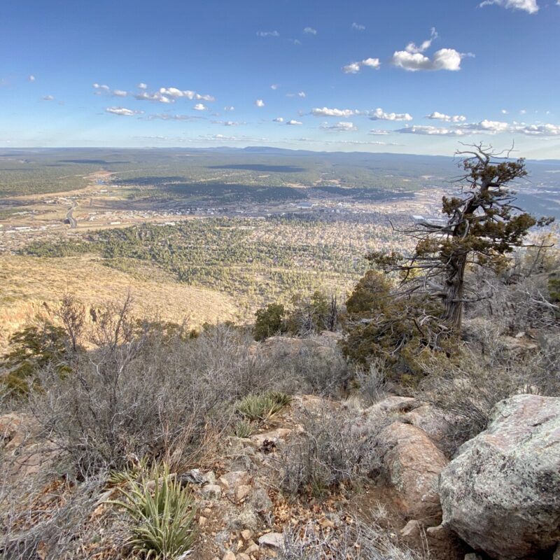 On Mt. Elden