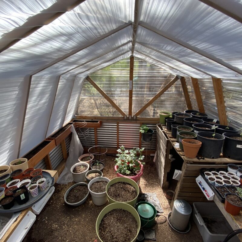 Greenhouse Growing